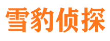 城北寻人公司